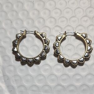 Elegant Gold and Silver Hoop Earrings